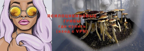 соль курить ск Новозыбков