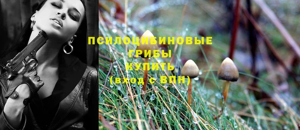 соль курить ск Новозыбков