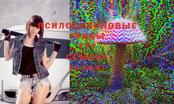 соль курить ск Новозыбков
