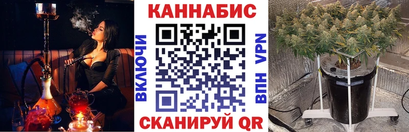 Шишки марихуана Amnesia  купить наркотик  Северская 